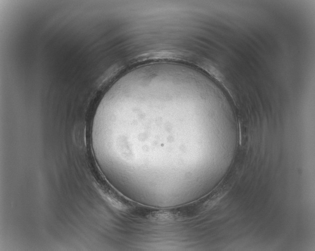 X0000062890253200601271655