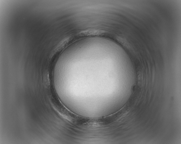 X0000062890254200601271655