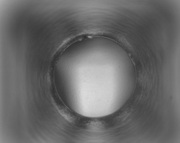 X0000062890256200601271655