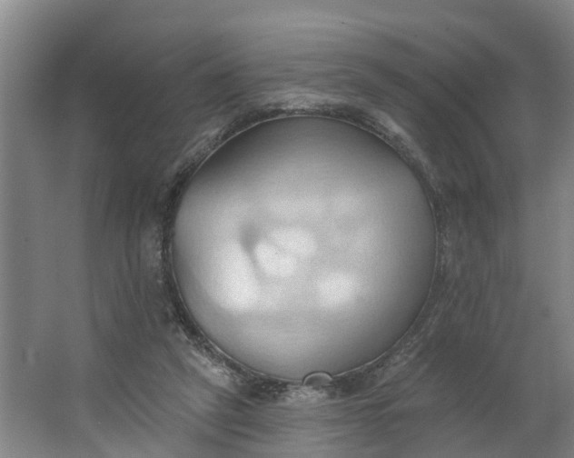 X0000062890257200601271655