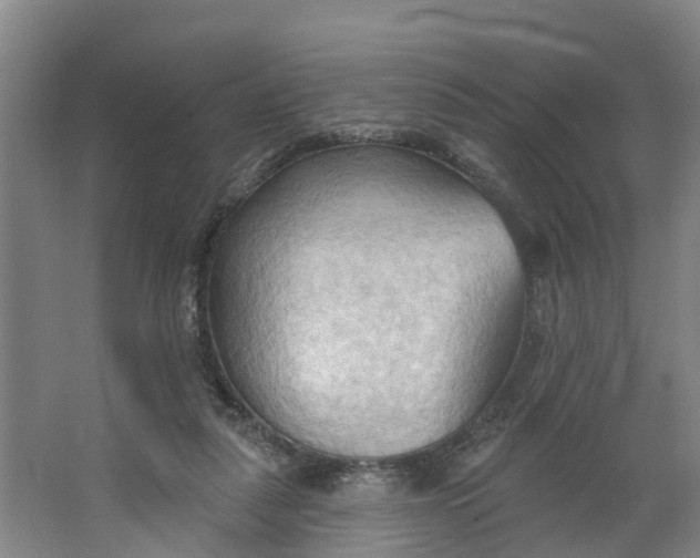 X0000062890259200601271655