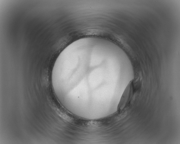 X0000062890261200601271655