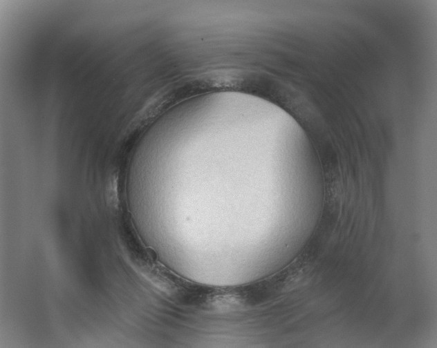 X0000062890262200601271655