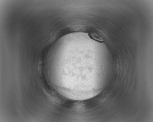 X0000062890263200601271655