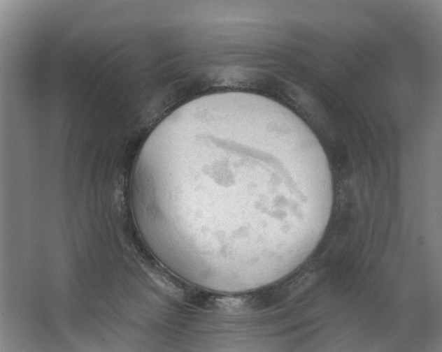 X0000062890265200601271655