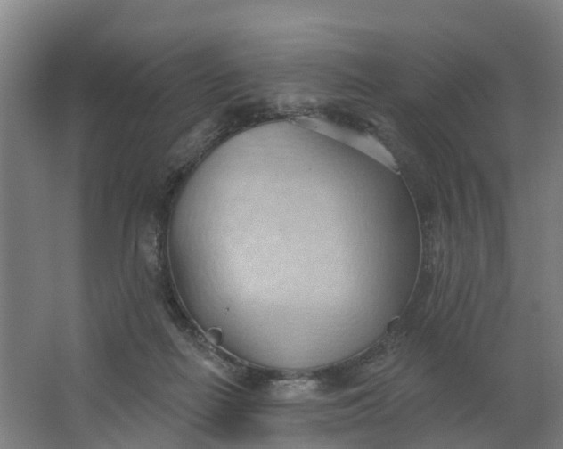 X0000062890266200601271655