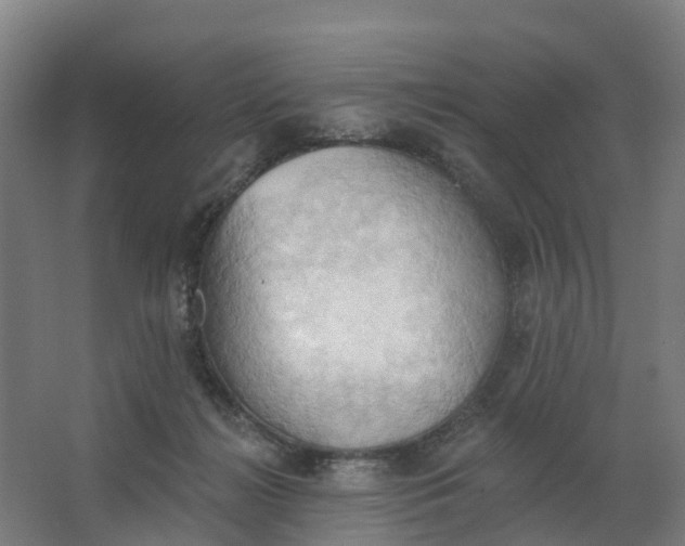 X0000062890268200601271655