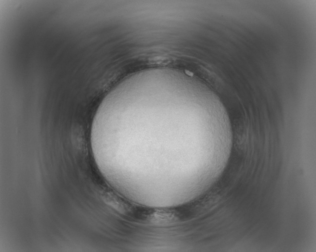 X0000062890270200601271655