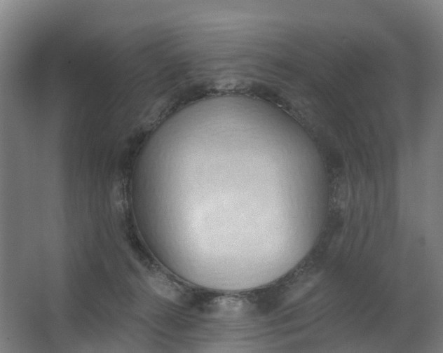 X0000062890272200601271655