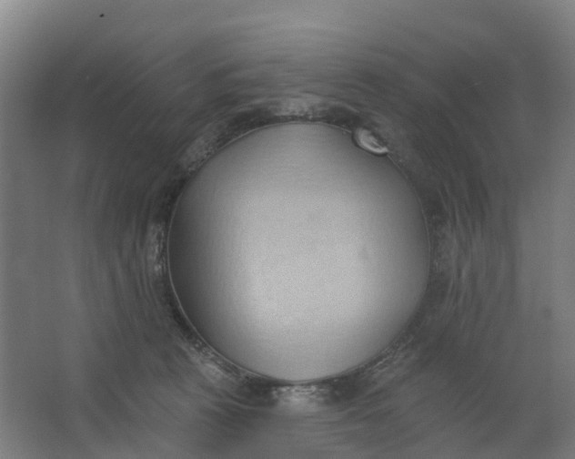 X0000062890273200601271655