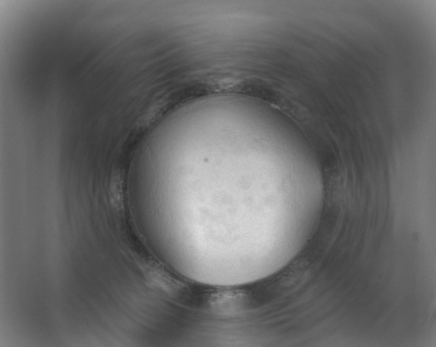 X0000062890274200601271655