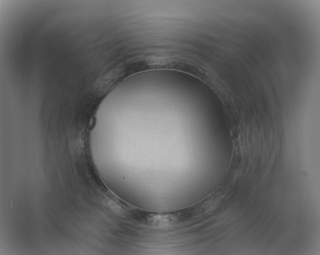 X0000062890277200601271655