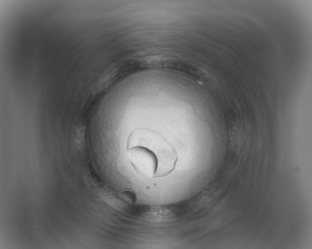 X0000062890278200601271655