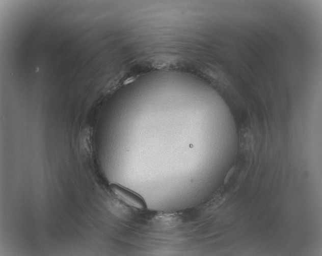 X0000062890280200601271655