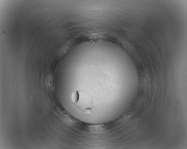 X0000062890281200601271655