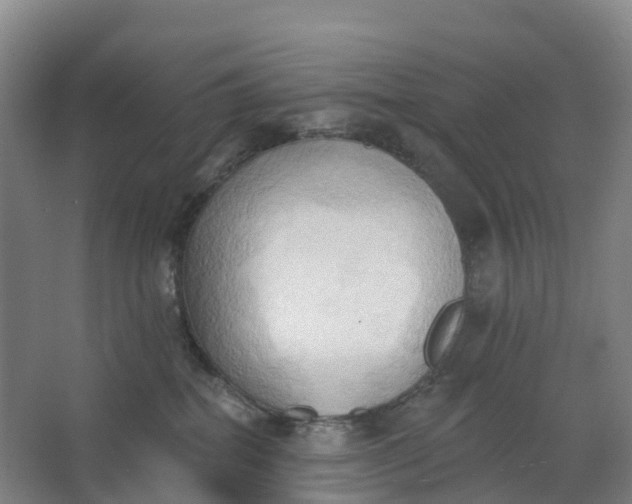 X0000062890282200601271655