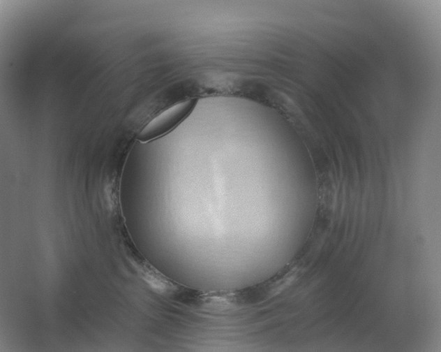 X0000062890285200601271655