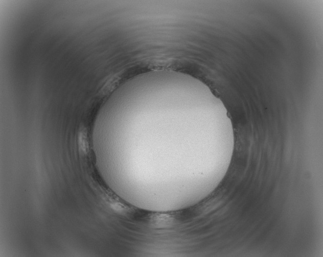 X0000062890287200601271655