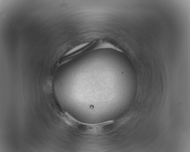 X0000062890288200601271656