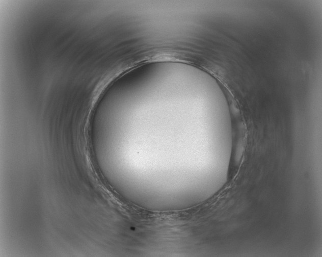 X0000062890289200601271655