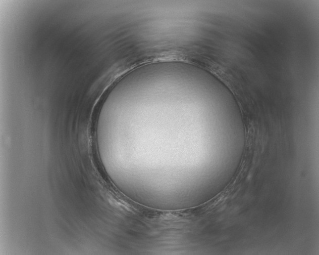 X0000062890290200601271655