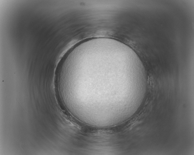 X0000062890292200601271655