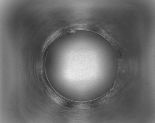 X0000062890293200601271655