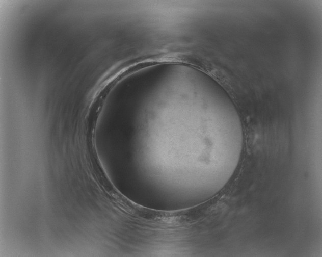 X0000062890295200601271655