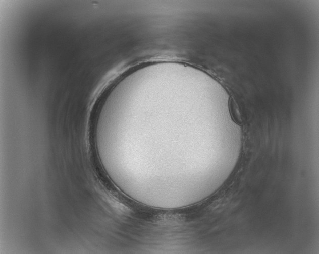 X0000062890296200601271655