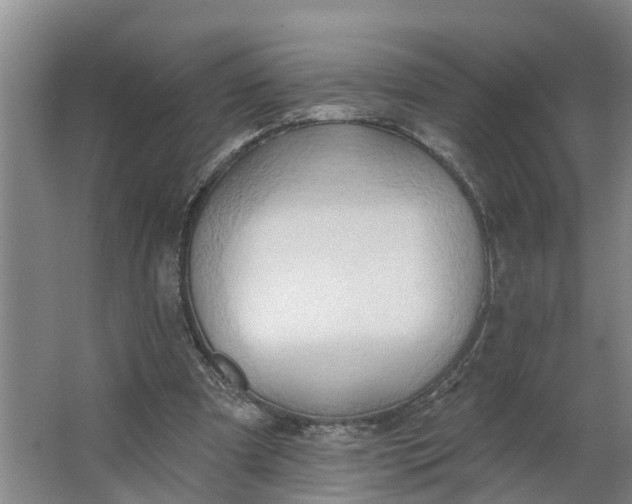 X0000062890297200601271655