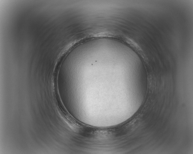 X0000062890298200601271655