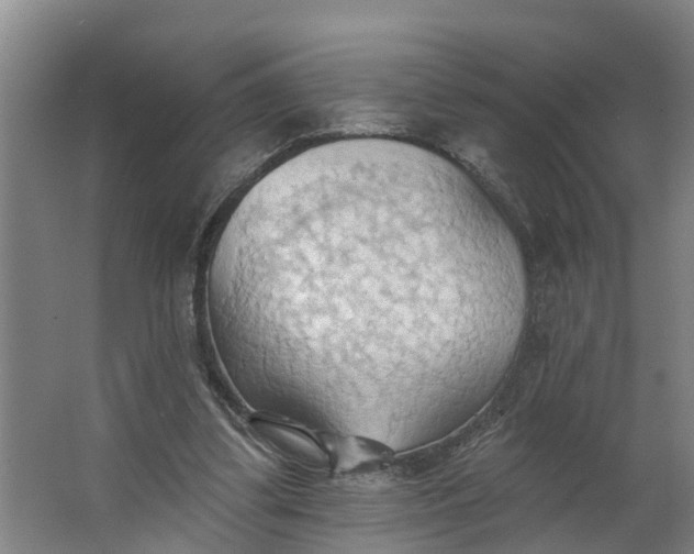 X0000062890299200601271655