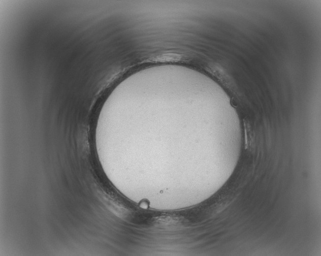 X0000062890300200601271655