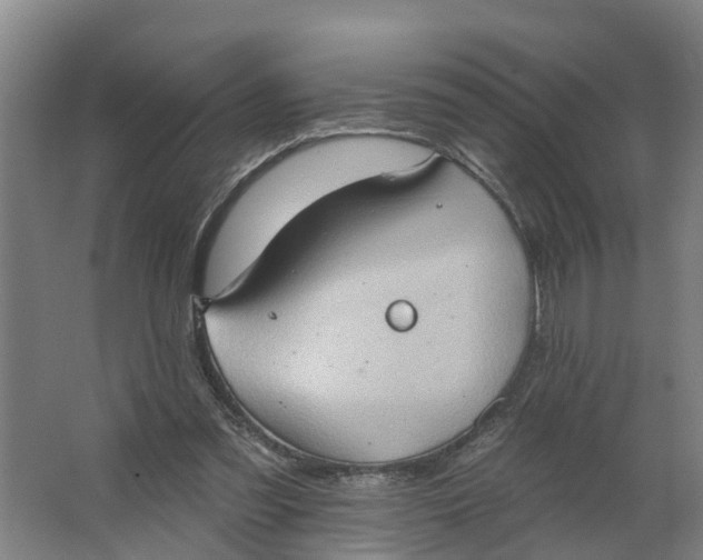 X0000062890301200601271654