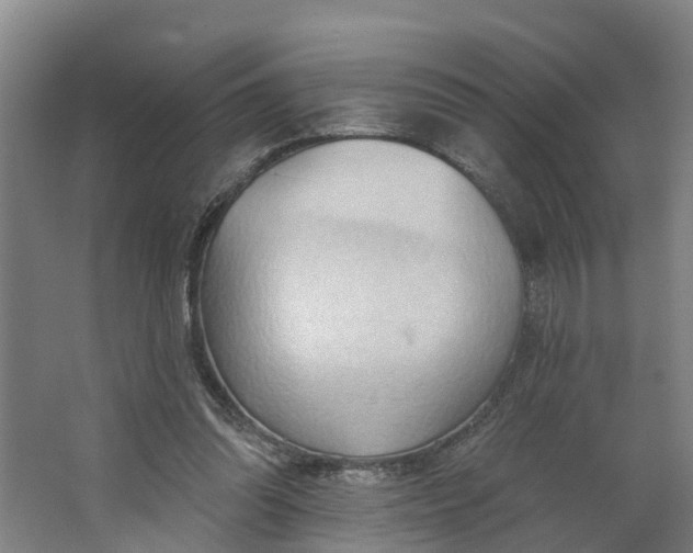 X0000062890302200601271654