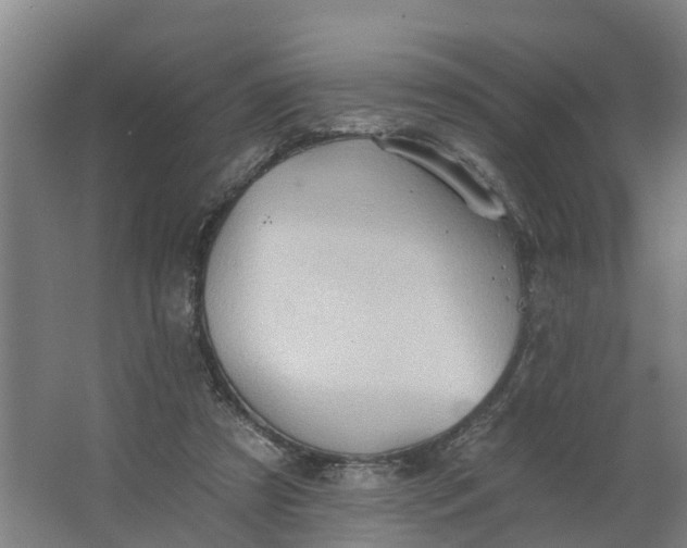 X0000062890305200601271654