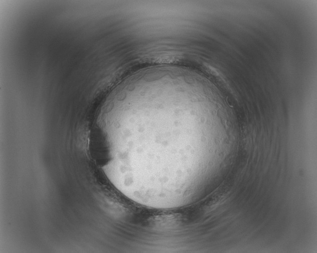 X0000062890307200601271654