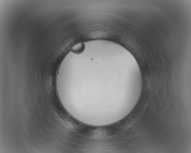 X0000062890308200601271654