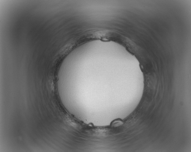 X0000062890313200601271654