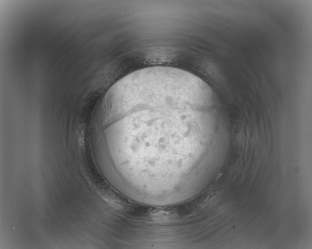 X0000062890315200601271654