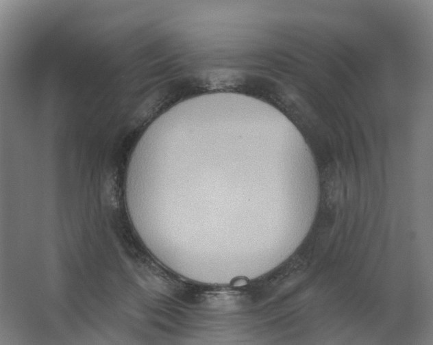 X0000062890316200601271654