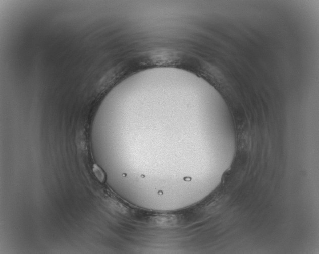 X0000062890317200601271654