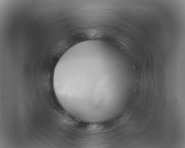 X0000062890319200601271654