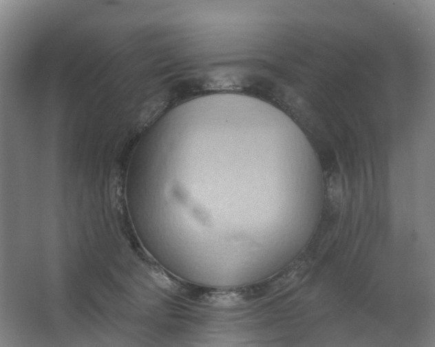 X0000062890322200601271654