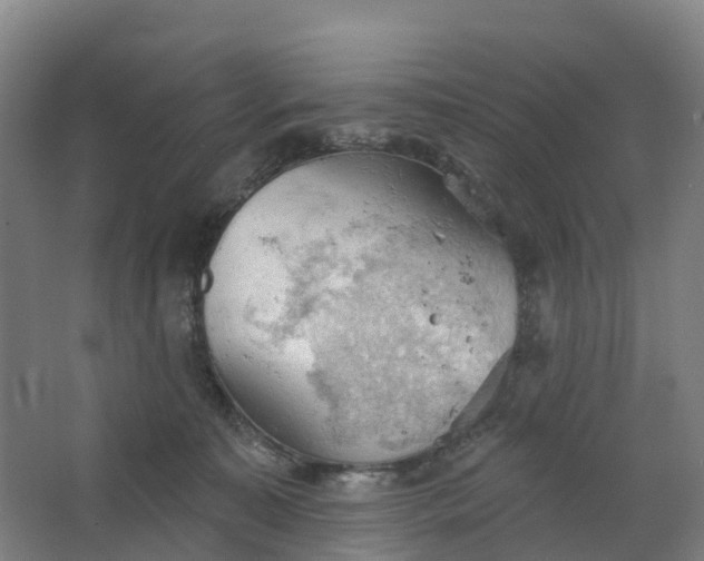 X0000062890323200601271654