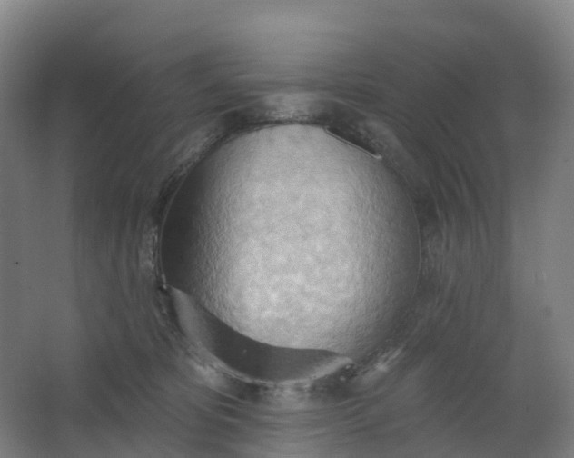 X0000062890325200601271654