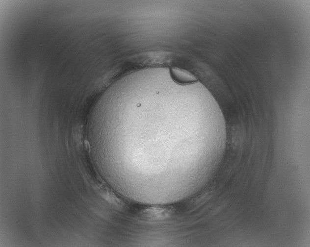 X0000062890326200601271654