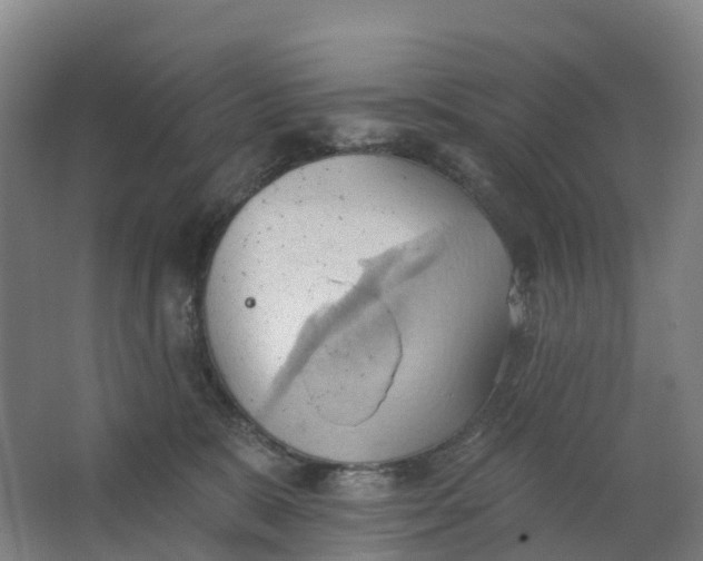 X0000062890327200601271654