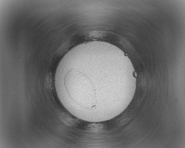 X0000062890328200601271654