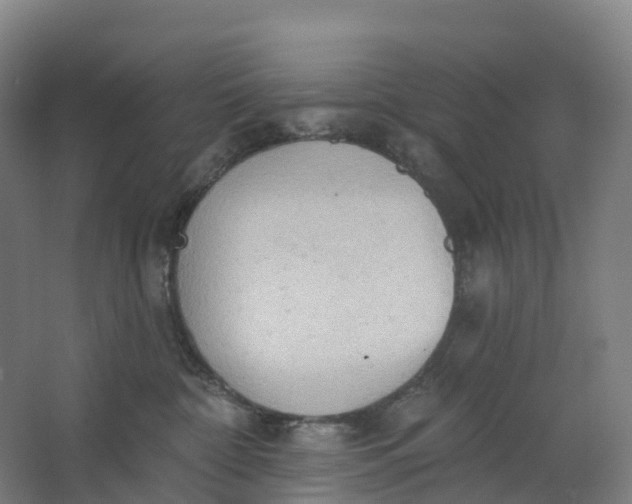 X0000062890332200601271654